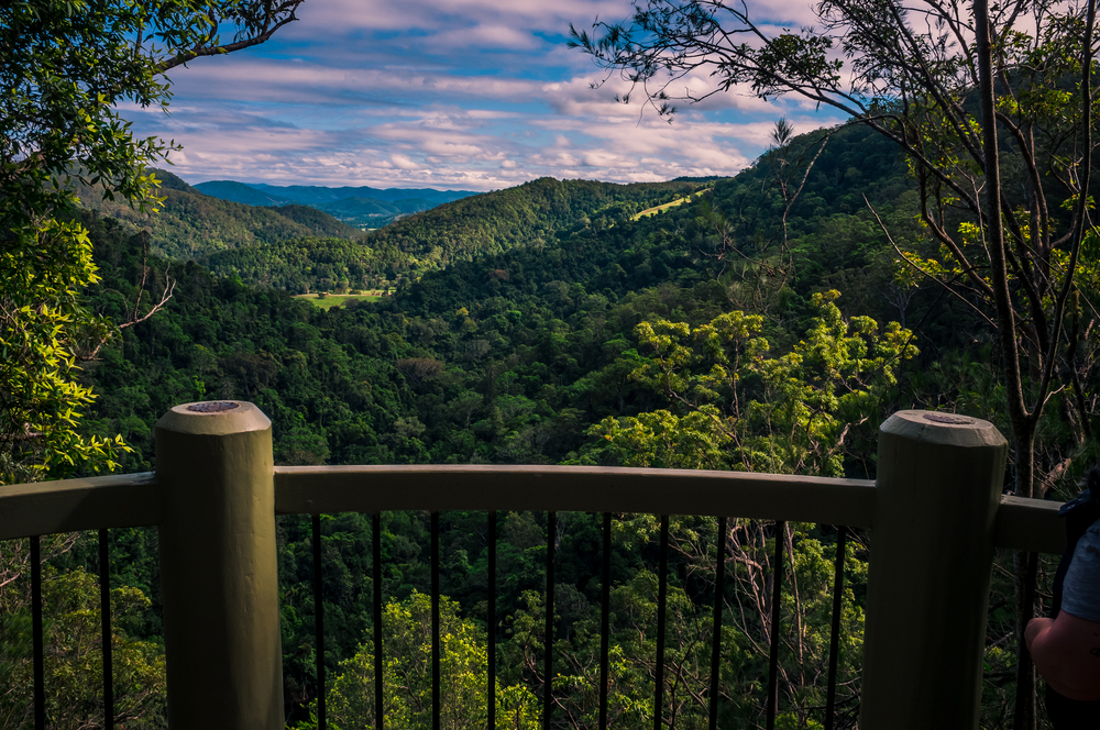 Get More Green Time – Explore the Sunshine Coast Hinterland