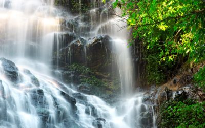 Chasing Waterfalls on the Sunshine Coast