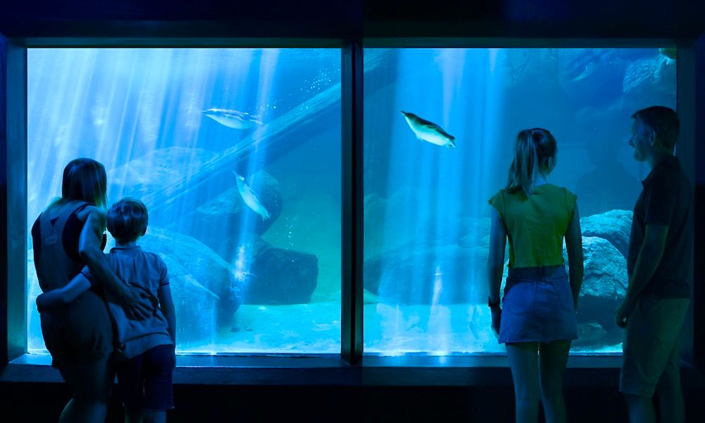Rainy Day things to do on the Sunshine Coast