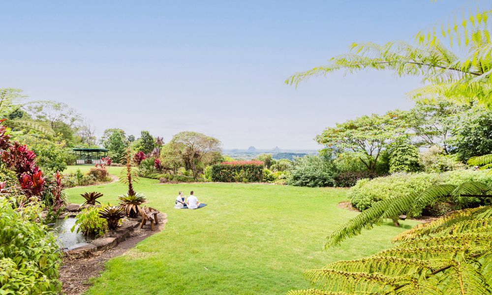 Spring on the Sunshine Coast: Top things to see and do